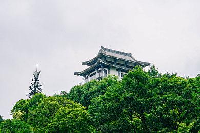 策略回合制Roguelike游戏《将军对决》免费试玩上线Steam